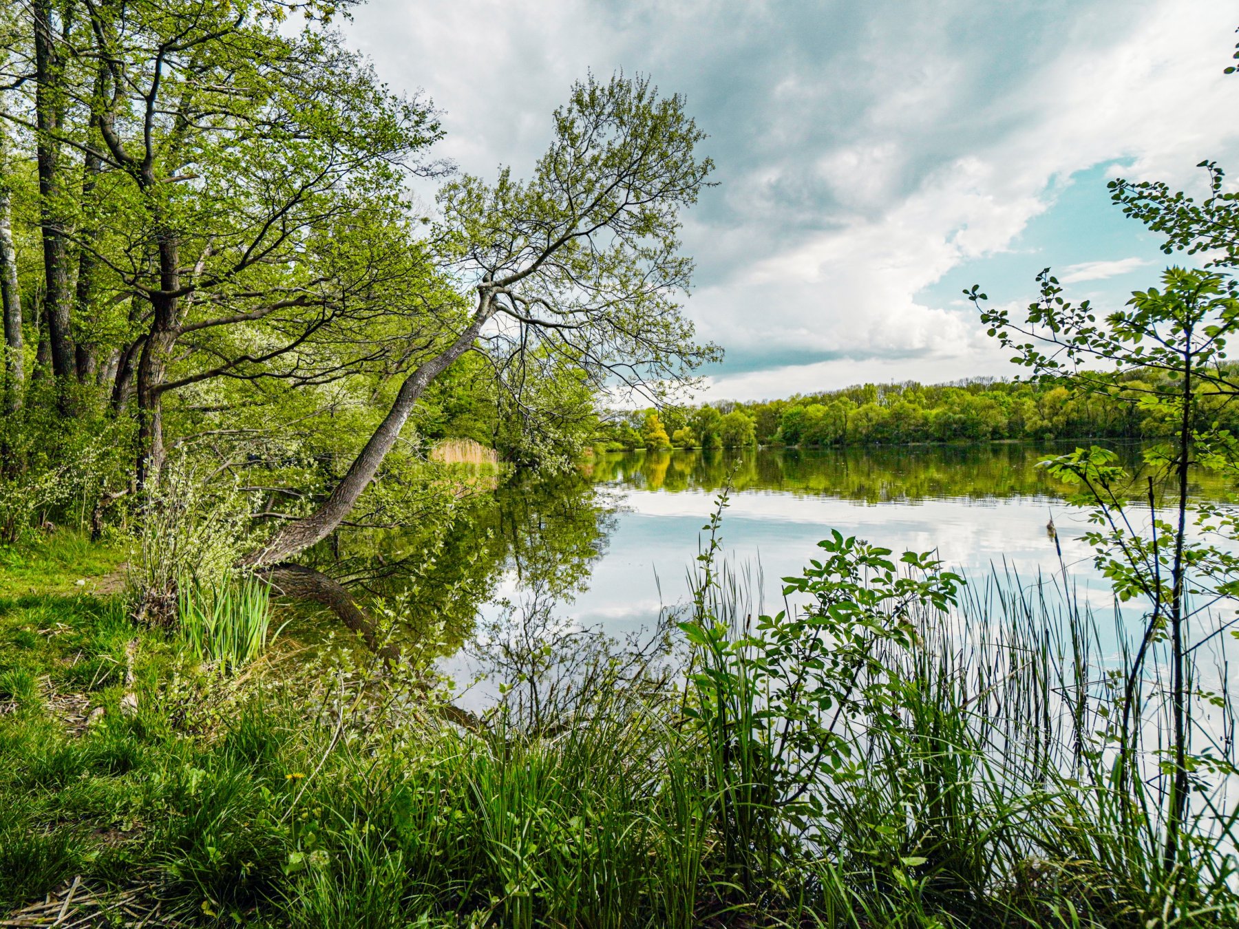 Jezioro Rusałka - 3 km